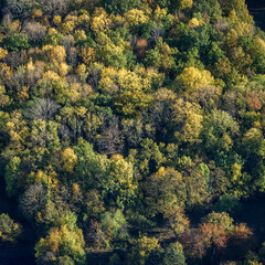 vue aérienne de la forêt l'automne à Saint-Martin-la-Garenne dans les Yvelines en France
