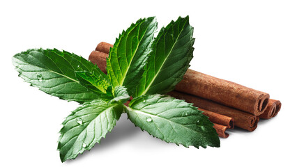 Spearmint leaves with cinnamon sticks  isolated png - obrazy, fototapety, plakaty