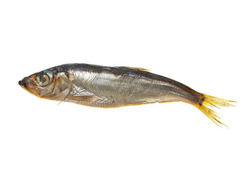 smoked capelin fish on a white background