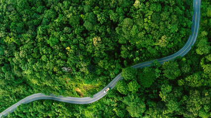 Road in the middle of the forest , road curve construction up to mountain, Rainforest ecosystem and...