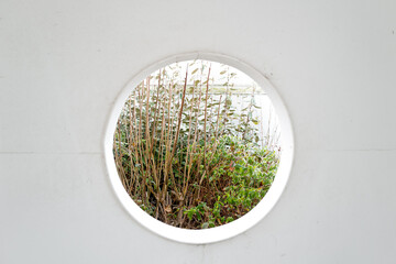 Abstract view of an outdoor wall with a large hole with a view to frost plants in a private garden.