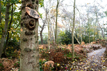 Shallow focus of an old oak tree in an ancient English forest. A Way Out sign is nailed to the top of the tree trunk.
