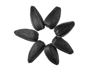 Sunflower seeds laid out in sun shape isolated on transparent png.
