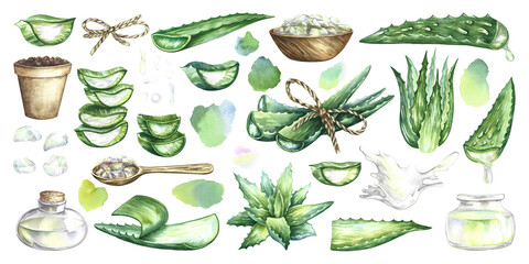 Aloe vera set. Watercolor illustration. For labels and packaging of cosmetology, perfumery and medicine.