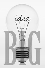 Old fashioned light bulb with the text big idea.