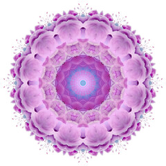 Beautiful pink pattern for Valentine's Day design. Isolated on white background.