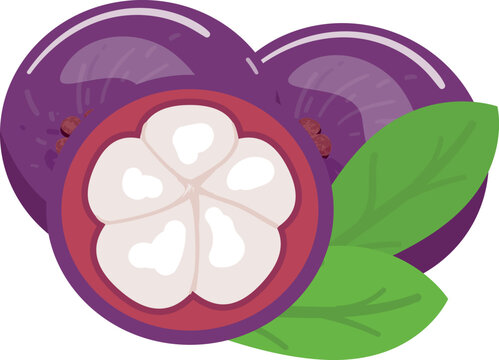Food mangosteen icon cartoon vector. Summer fruit. Organic mangosten