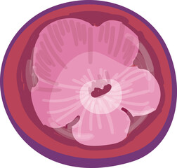 Mangosten flower icon cartoon vector. Mangosteen fruit. Garden plant