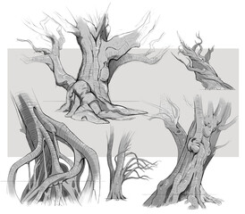 A sketch concept illustration of fantasy trees set for advertising, banner, decoration, element, graphic, printing.