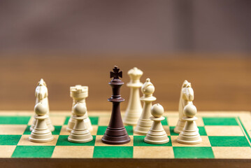 Chess game pieces on the green board