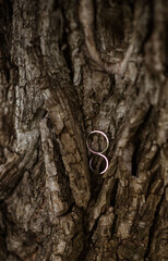 wedding rings in hand. Two wedding rings on the floor with contrast wedding rings on floor, on ground, on piano, in hand on grass or a stones,