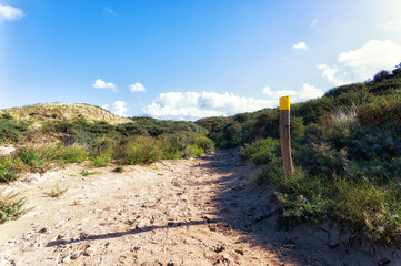 Zandvoort, Netherlands, Landscape with Plants