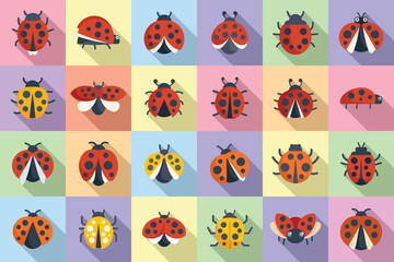 Insect ladybird icons set flat vector. Child fly. Insect bug