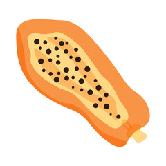 Side Slice Papaya Fruits Icon Vector Illustrations