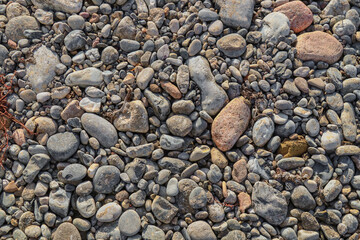Wet gravel on the side of the road