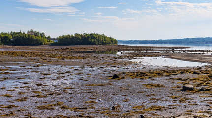 Low tide at Searsport Maine in the summer