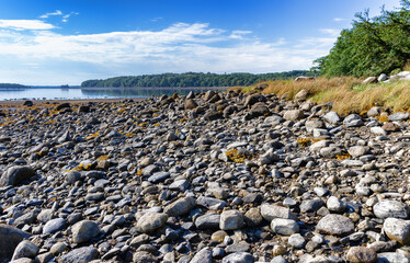 Rocky shore of Maine at low tide on a picturesque summers day