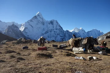 Photo sur Aluminium brossé Ama Dablam Everest Three Passes