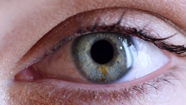 Eye macro, closeup iris and vision for healthcare, optometry test or exam for eyesight, control and movement. Zoom, wellness and health of eyes for a person, focus and looking at optometrist