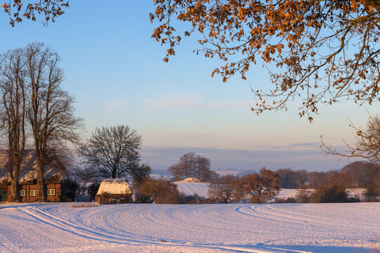 Traumhafte Hügellandschaft mit Reetkate und Feldern im Schnee im Winter. bei Wetterade in Helmstorf.