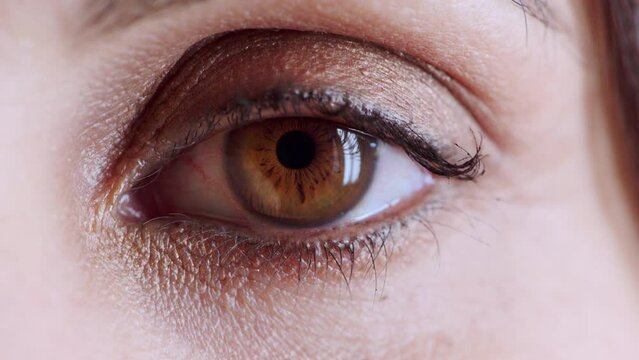 Woman, eye and awake in focus, vision or eyesight for awareness, iris or optical sight. Closeup portrait of female brown eyes, pupil or eyelid awakened in stare for alert, shock or surprise
