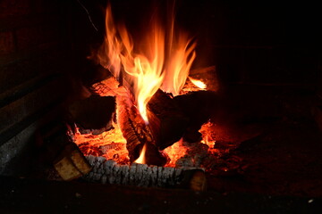 Getting warm near beautiful fire