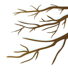 Bare brunch tree with snow. vector