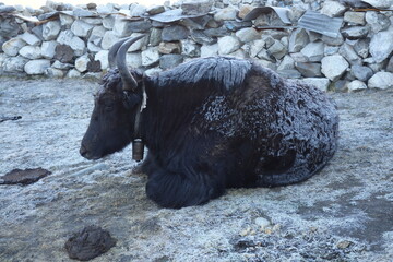 Everest Three Passes