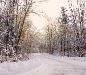 a snow covered trail with the sun shining through