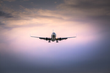 Plakat passenger plane landing at sunset