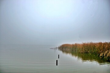 Morgennebel über Landschaft