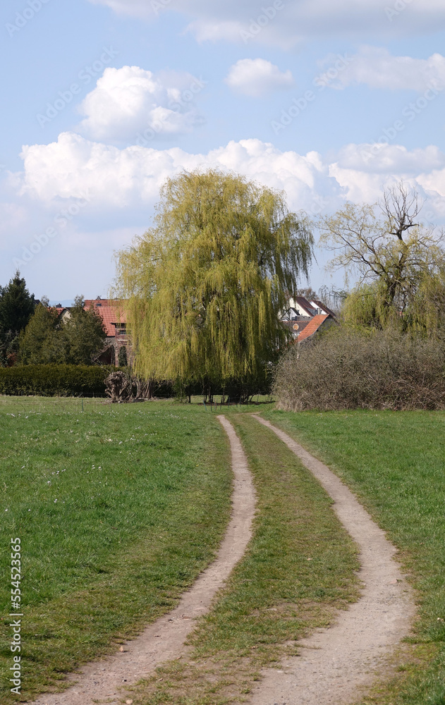 Canvas Prints feldweg bei dreieichenhain