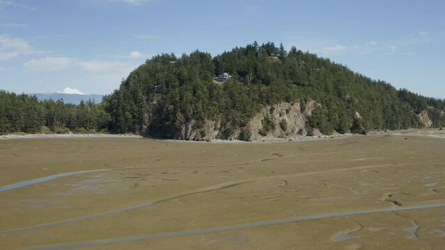 Low Tide Mud Flats and Mountains in Marthas Bay Skagit County La Conner Washington USA