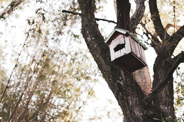 birdhouse hanging on the tree