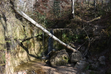 Southern USA Nature and Landscapes