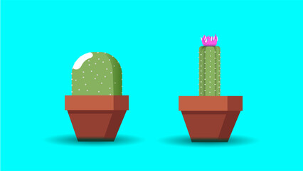 illustration of a cactus in a pot
