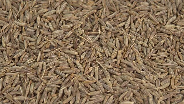 Dried cumin spice seeds background rotate. Dry seasoning cumin. Spices and herbs for cooking zira