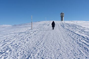 Feldberg