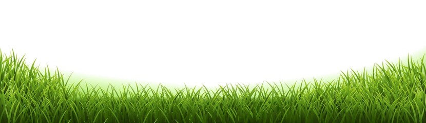 Green Grass Frame Isolated White Background