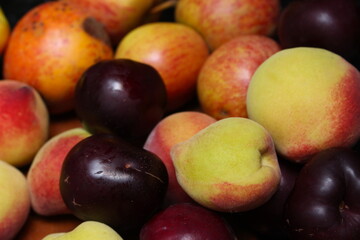 set of assorted fruits. fruit basket with apple, peach and plum. delicious fruits together.