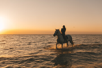 portrait of a long-haired girl on a horse in the sea at sunset