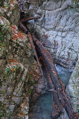 The logs lie in a gorge in the river
