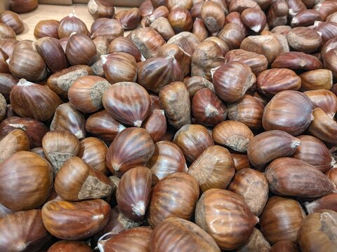 brown chestnut nuts
