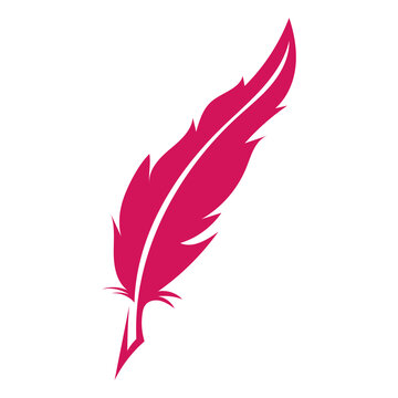 Feather logotype icon design vector.
