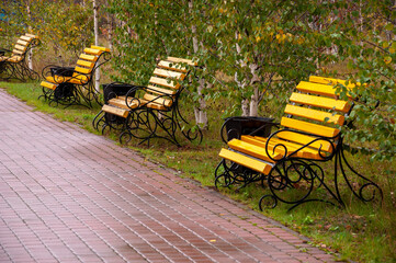 City yellow wooden bench on the street in the autumn park
