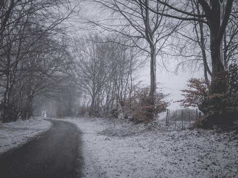 Frosty landscape in Eastern Belgium