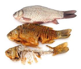 Raw and fried fish with bones.