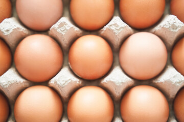 Eggs set. Many food protein. Colorful bright on background. Hard shadow. Easter sun box. Carton organic concept. Traditional cuisine top view. Flatlay