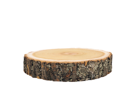 Wooden eco rustic pine tree wood circle disc platform podium on Png tranparent background. Minimal empty display product presentation scene.