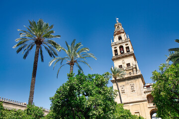 Tower and patio de los naranjos, Mezquita Cathedral Arab Wall. Cordoba City Andalusia, Spain, Europe